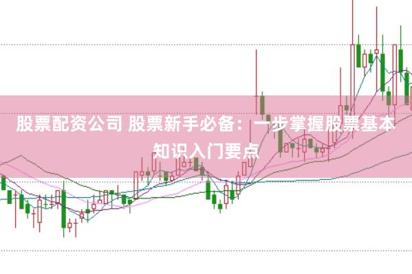 股票配资公司 股票新手必备：一步掌握股票基本知识入门要点