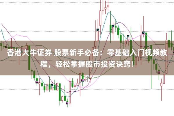 香港大牛证券 股票新手必备：零基础入门视频教程，轻松掌握股市投资诀窍！