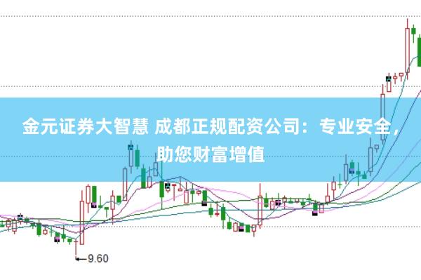 金元证券大智慧 成都正规配资公司：专业安全，助您财富增值