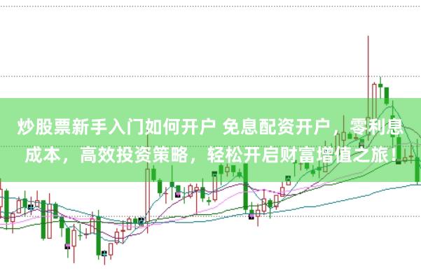 炒股票新手入门如何开户 免息配资开户，零利息成本，高效投资策略，轻松开启财富增值之旅！