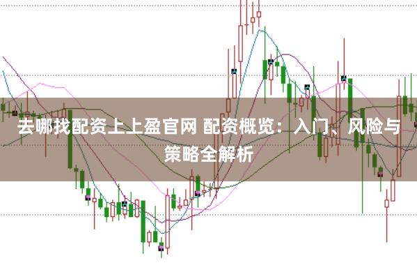 去哪找配资上上盈官网 配资概览：入门、风险与策略全解析
