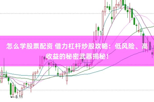 怎么学股票配资 借力杠杆炒股攻略：低风险、高收益的秘密武器揭秘！