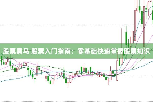 股票黑马 股票入门指南：零基础快速掌握股票知识