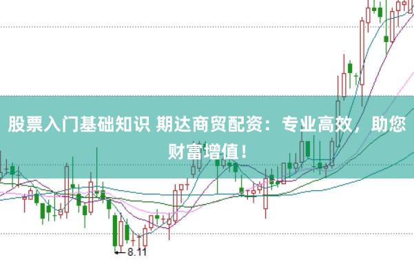 股票入门基础知识 期达商贸配资：专业高效，助您财富增值！