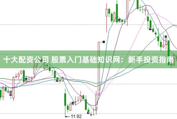 十大配资公司 股票入门基础知识网：新手投资指南