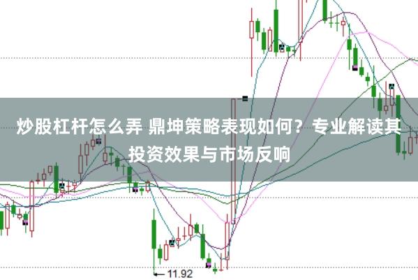 炒股杠杆怎么弄 鼎坤策略表现如何？专业解读其投资效果与市场反响