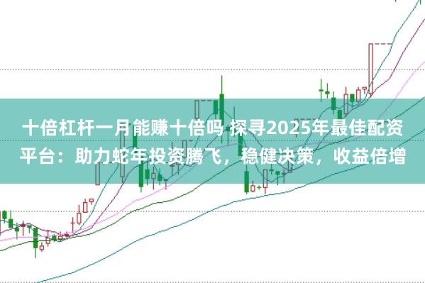 十倍杠杆一月能赚十倍吗 探寻2025年最佳配资平台：助力蛇年投资腾飞，稳健决策，收益倍增