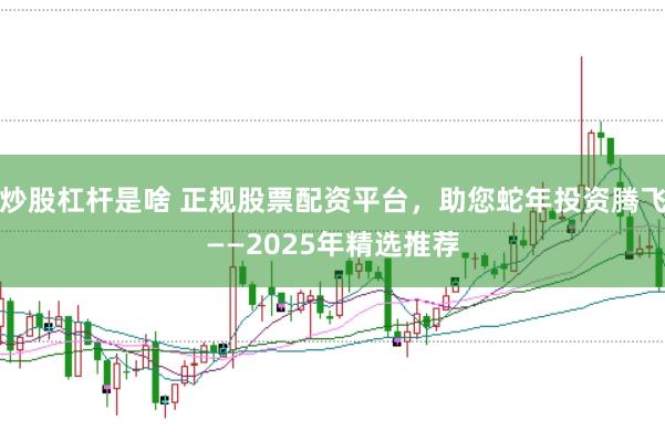 炒股杠杆是啥 正规股票配资平台，助您蛇年投资腾飞——2025年精选推荐