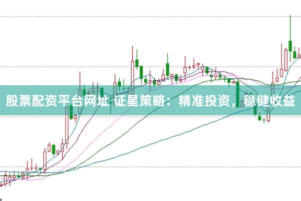 股票配资平台网址 证星策略：精准投资，稳健收益