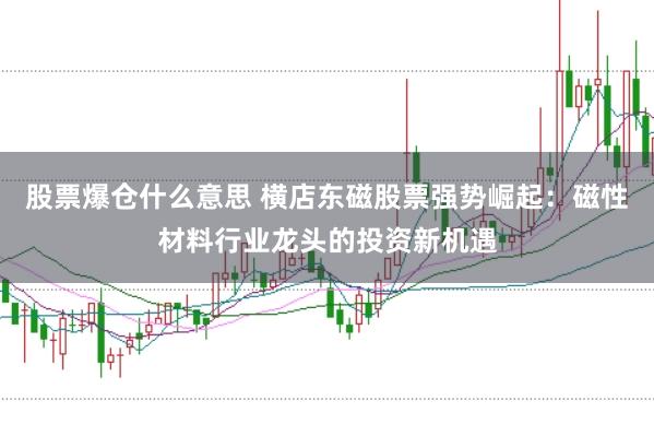 股票爆仓什么意思 横店东磁股票强势崛起：磁性材料行业龙头的投资新机遇