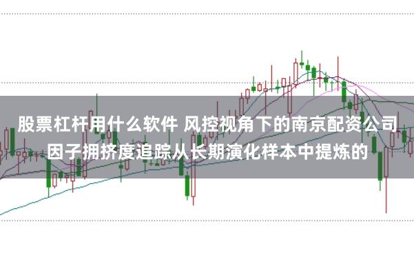 股票杠杆用什么软件 风控视角下的南京配资公司因子拥挤度追踪从长期演化样本中提炼的