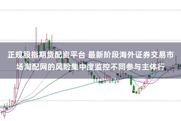 正规股指期货配资平台 最新阶段海外证券交易市场淘配网的风险集中度监控不同参与主体行