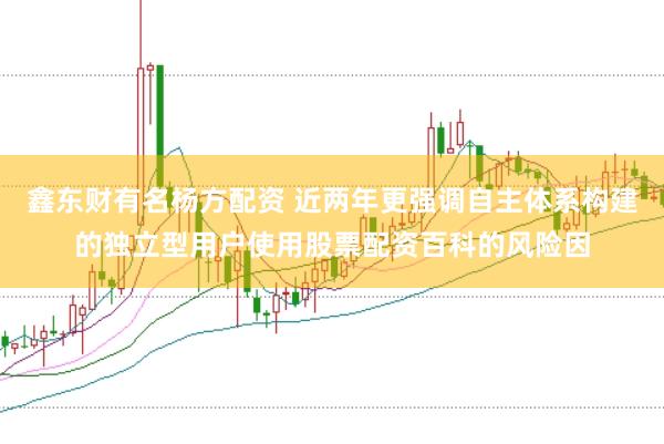 鑫东财有名杨方配资 近两年更强调自主体系构建的独立型用户使用股票配资百科的风险因