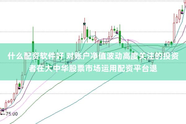 什么配资软件好 对账户净值波动高度关注的投资者在大中华股票市场运用配资平台退