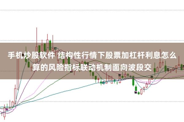 手机炒股软件 结构性行情下股票加杠杆利息怎么算的风险指标联动机制面向波段交
