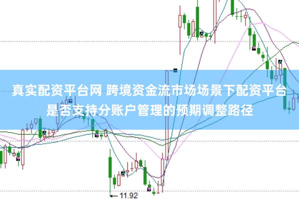 真实配资平台网 跨境资金流市场场景下配资平台是否支持分账户管理的预期调整路径