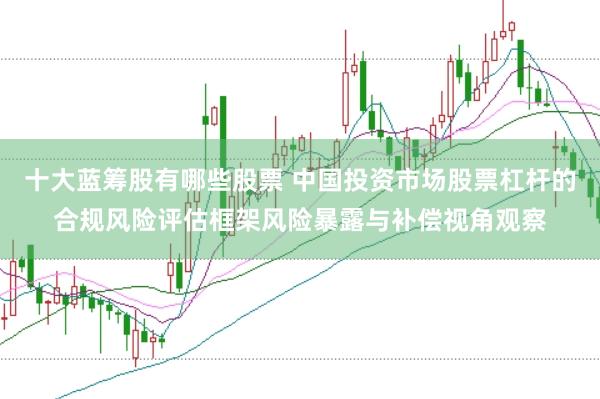 十大蓝筹股有哪些股票 中国投资市场股票杠杆的合规风险评估框架风险暴露与补偿视角观察