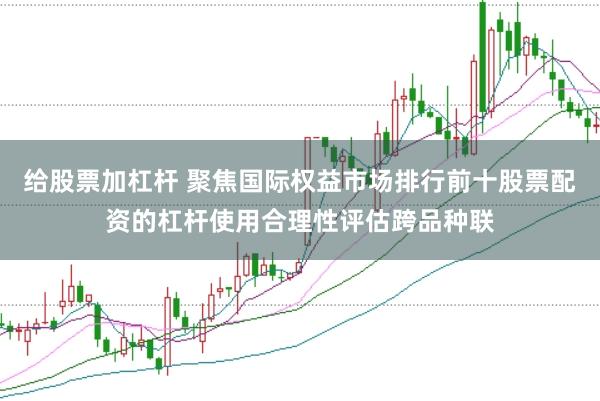 给股票加杠杆 聚焦国际权益市场排行前十股票配资的杠杆使用合理性评估跨品种联