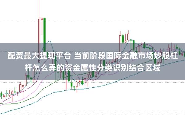 配资最大提现平台 当前阶段国际金融市场炒股杠杆怎么弄的资金属性分类识别结合区域