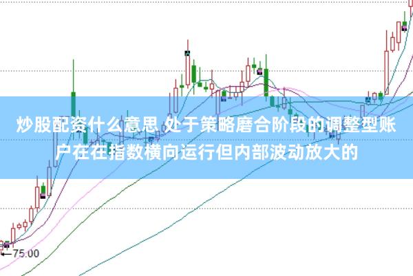 炒股配资什么意思 处于策略磨合阶段的调整型账户在在指数横向运行但内部波动放大的