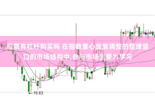 股票有杠杆购买吗 在指数重心反复调整的整理窗口的市场结构中,参与市场主要为学习