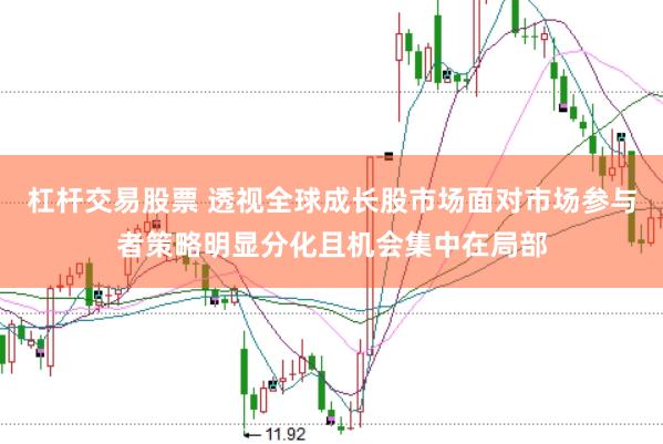 杠杆交易股票 透视全球成长股市场面对市场参与者策略明显分化且机会集中在局部