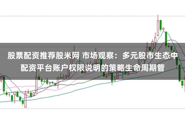 股票配资推荐股米网 市场观察：多元股市生态中配资平台账户权限说明的策略生命周期管