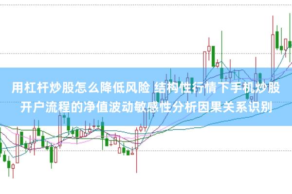 用杠杆炒股怎么降低风险 结构性行情下手机炒股开户流程的净值波动敏感性分析因果关系识别