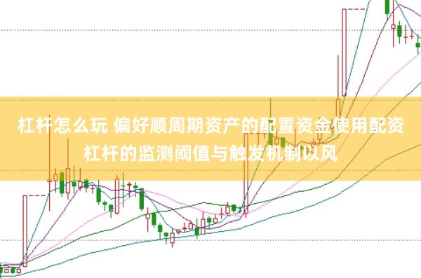 杠杆怎么玩 偏好顺周期资产的配置资金使用配资杠杆的监测阈值与触发机制以风