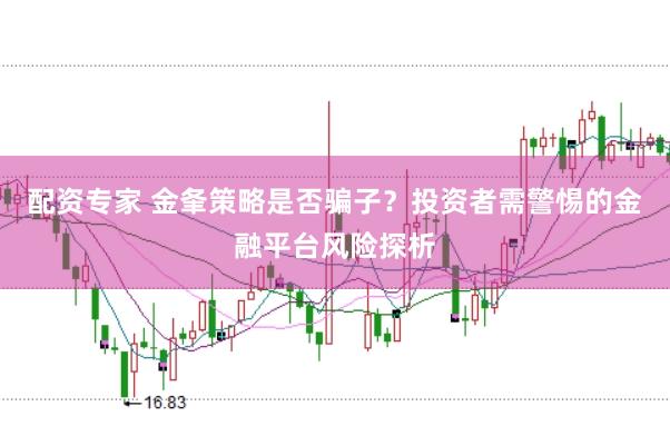 配资专家 金夆策略是否骗子?投资者需警惕的金融平台风险探析