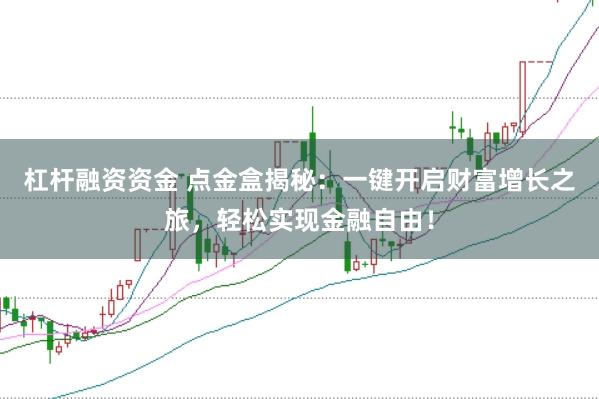杠杆融资资金 点金盒揭秘：一键开启财富增长之旅，轻松实现金融自由！