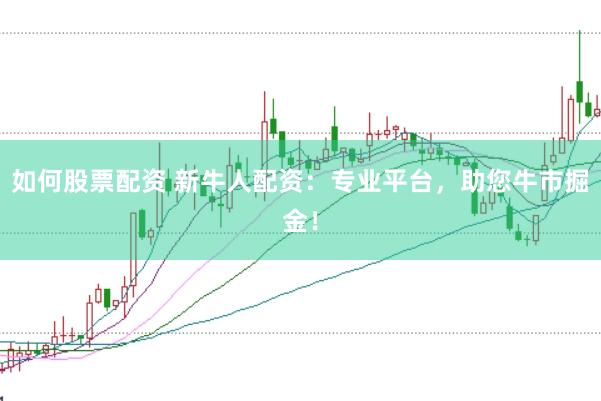如何股票配资 新牛人配资：专业平台，助您牛市掘金！