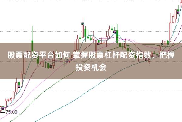 股票配资平台如何 掌握股票杠杆配资指数，把握投资机会