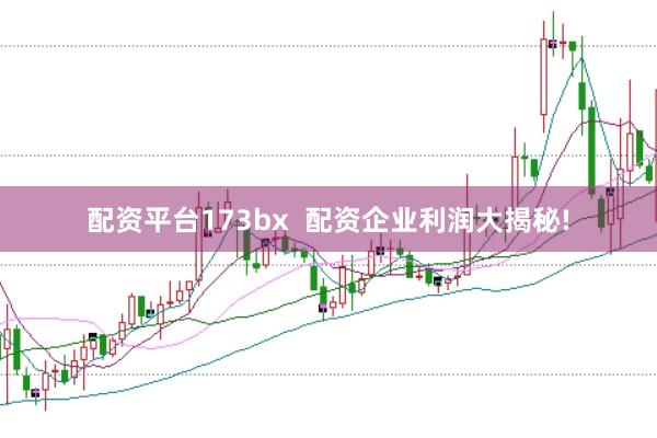配资平台173bx  配资企业利润大揭秘!