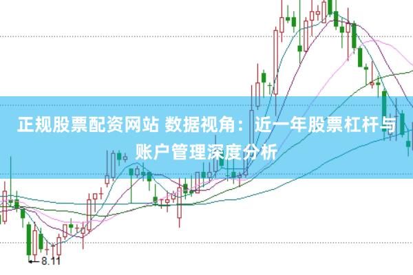 正规股票配资网站 数据视角:近一年股票杠杆与账户管理深度分析