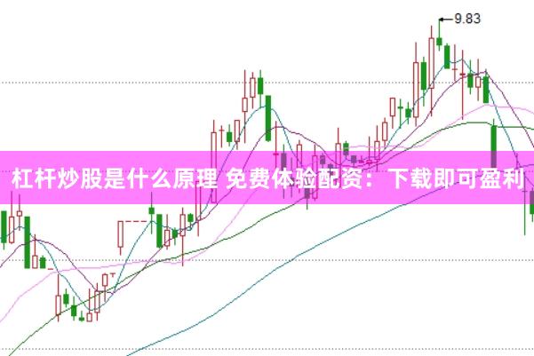 杠杆炒股是什么原理 免费体验配资:下载即可盈利