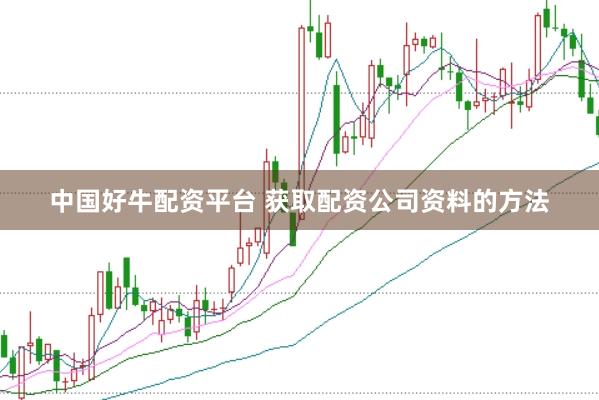 中国好牛配资平台 获取配资公司资料的方法